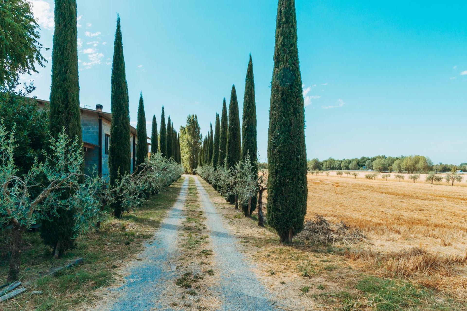Agriturismo Il Borgo Кортона Екстериор снимка